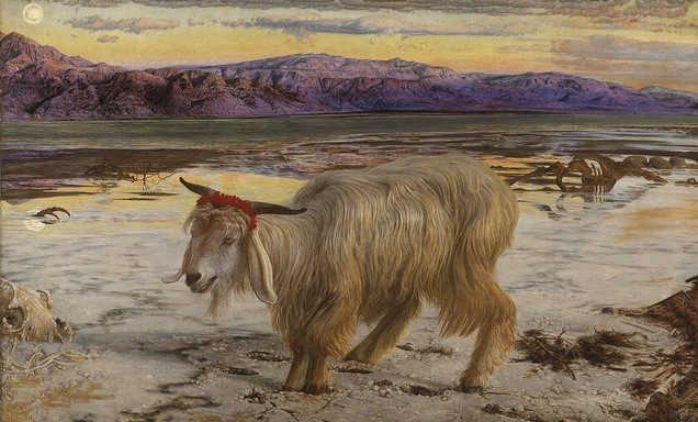 лев в цирке. цирковое представление. представления у животных и человека. тигр в цирке. цирк со слонами.